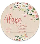 Personalized Birth Stat Sign for Newborn Baby,Birth Announcement Sign for Hospital Photography Pr...