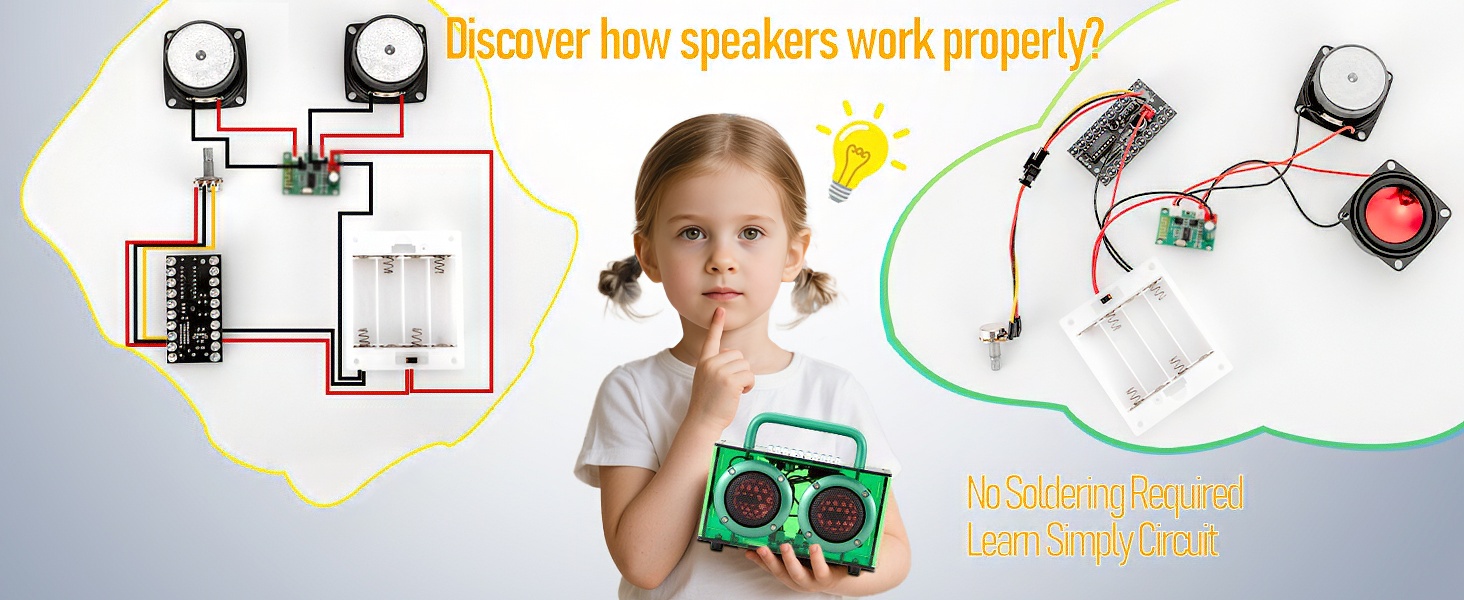 DIY Arylic Speaker