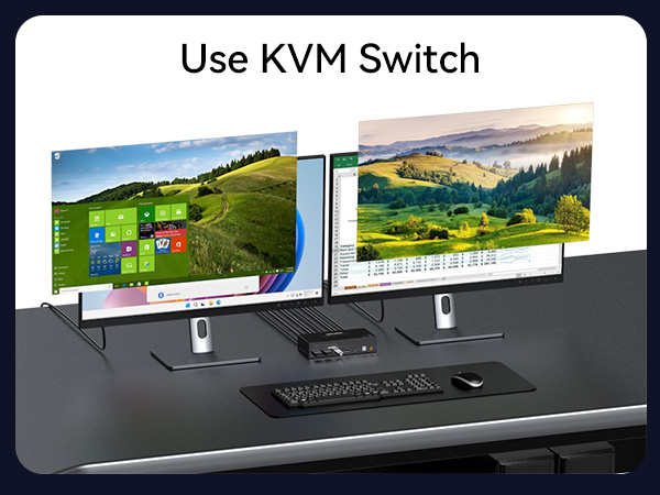 KVM SWITCH