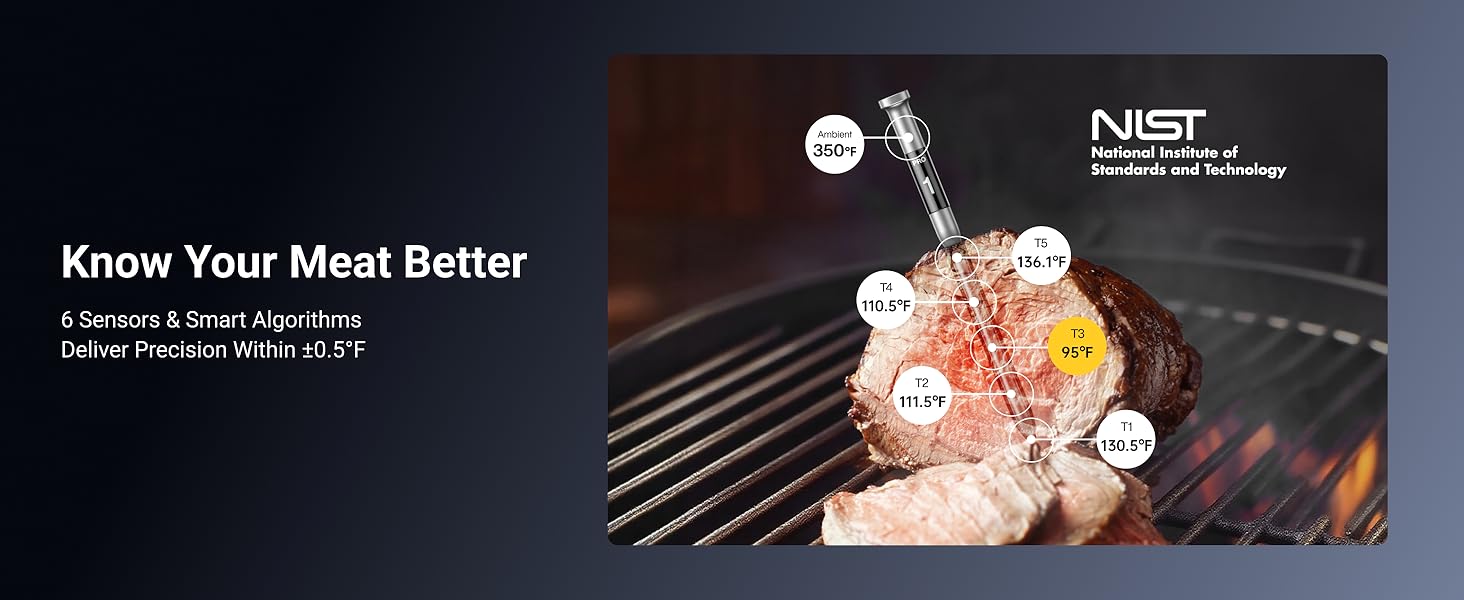 NIST Meat Thermometer WiFi Wireless Meat Thermometer