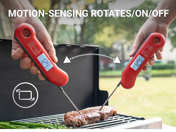 meat thermometer digital
