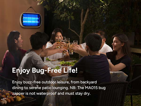 mosquito trap indoor