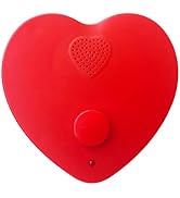 JRGKJCP 5min Voice Recorder for Stuffed Anima,Personal Voice Message Recordable Sound Recorder Ch...
