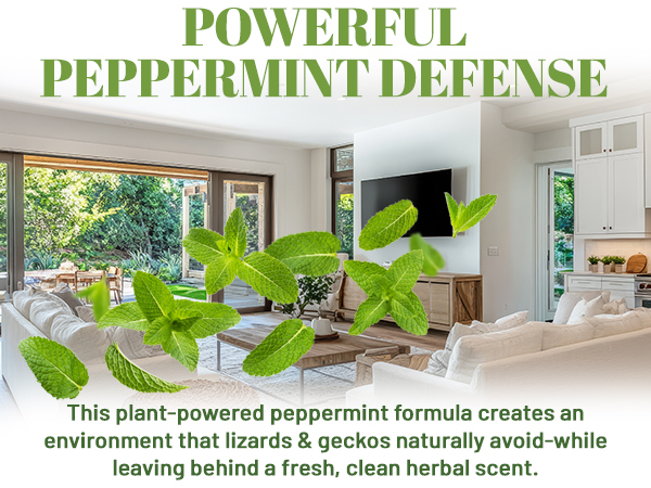 natural peppermint animal repellent spray