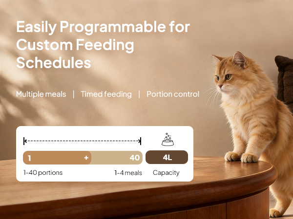 Automatic Cat Feeders