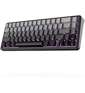 EPOMAKER x Aula F65 65% Wireless Mechanical Keyboard, Hot Swappable Gasket Custom Gaming Keyboard...