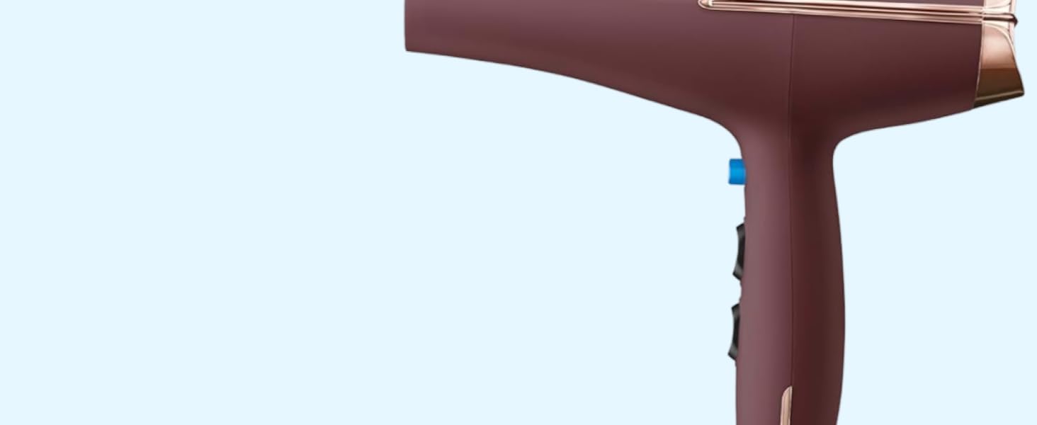 Professional AC Motor Hair Dryer