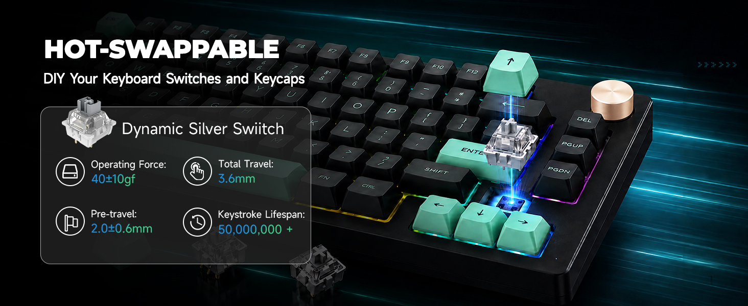 HOT-SWAPPABLE SWITCHES