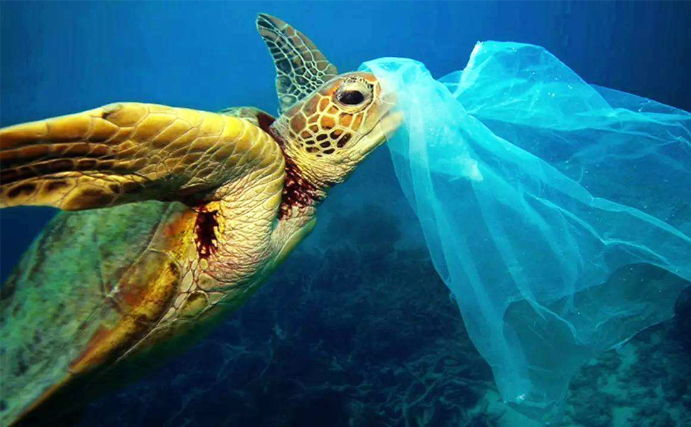 Eliminate white pollution