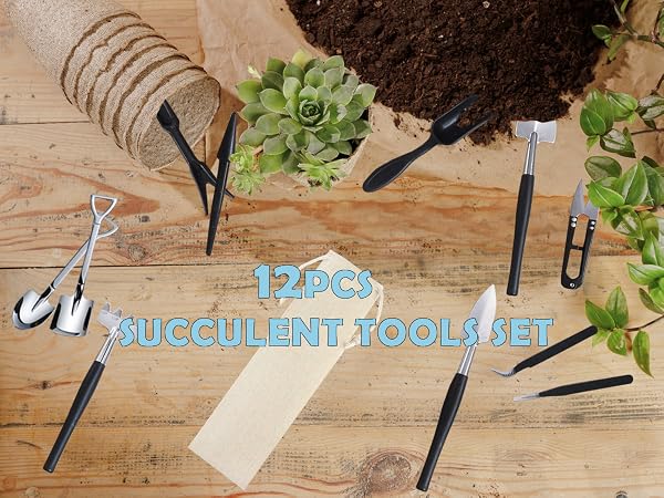 succulent tools