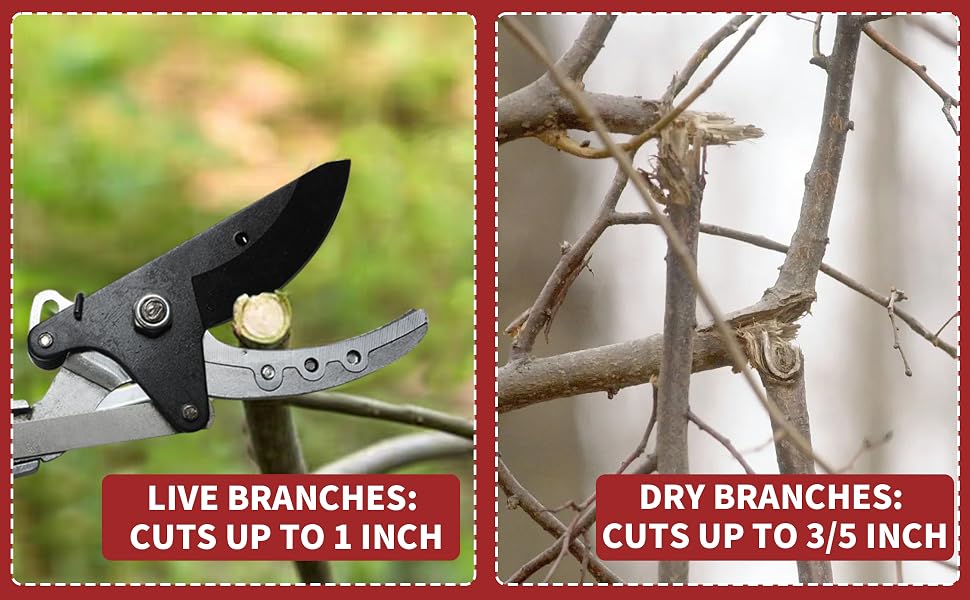 Pruning ability
