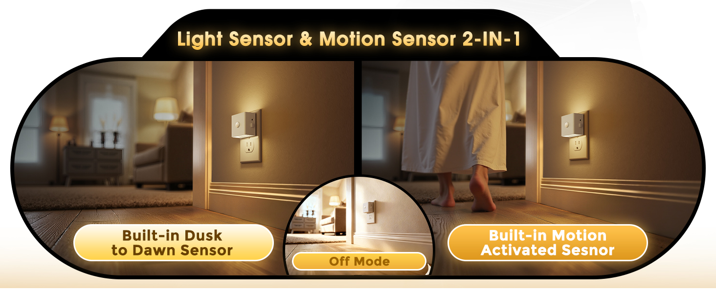 Light Sensor & Motion Sensor