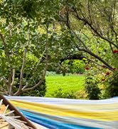 Lazy Daze Hammocks Cotton Fabric Double Hammock with 55" Spreader Bar, Portable Camping Hammock w...