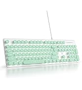 Mosptnspg Wired Quiet Membrane Keyboard,Full Size 104-Keys Retro Punk Typewriter White LED Backli...
