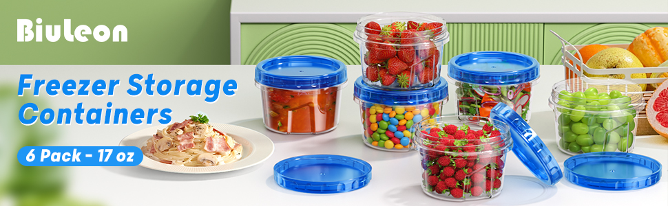 Freezer Storage Containers
