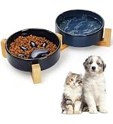 SOUJOY Ceramic Dog Cat Bowls Set with Stand, Non-Slip Elevated Small Dog Bowls, 2 Cups Slow Feede...