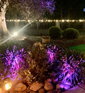 solar spotlights color changing