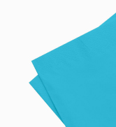 NAPKIN