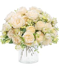 https://m.media-amazon.com/images/S/aplus-media-library-service-media/37115133-87e3-47c5-849e-d89962a0d62e.__CR89,0,1422,1600_PT0_SX200_V1___.jpg
