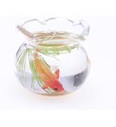 1Pcs Multicolour Mini Round Fish Tank Realistic Glass Decor for Dollhouse Display Captivating Min...