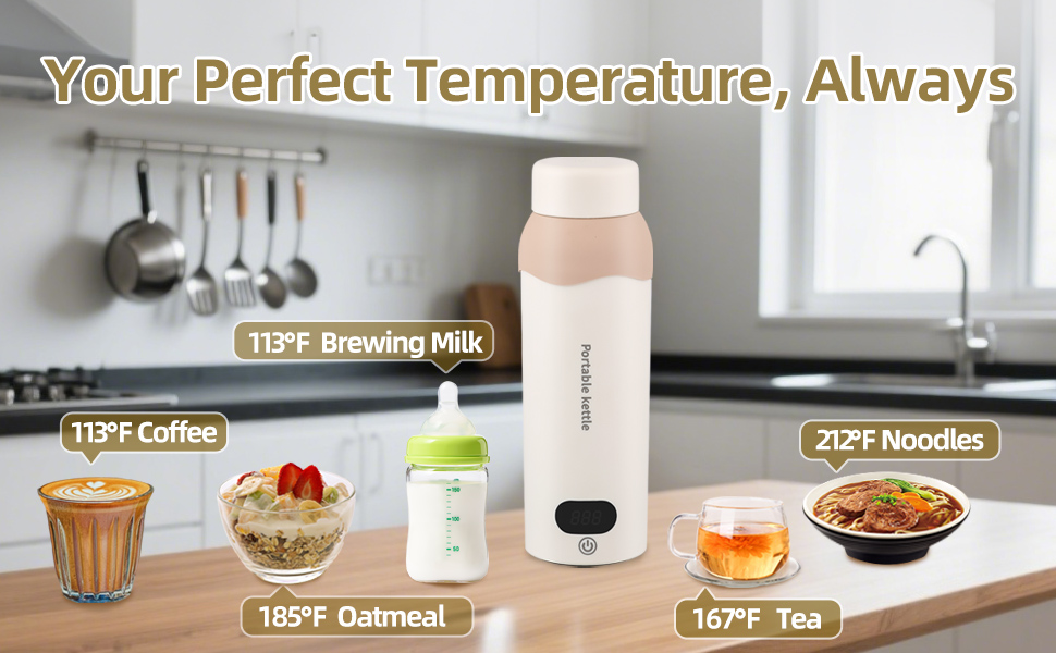 Travel Electric Tea Kettle