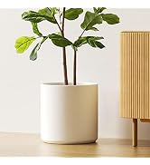 LE TAUCI 12 Inch Pot for Plants, Ceramic Large Planter for Indoor Plants, Mid-Century Modern Flow...