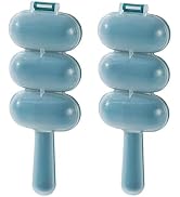 Blue Rice Ball Maker - Shake and Mold Rice Balls, Sushi Plates and DIY Kit