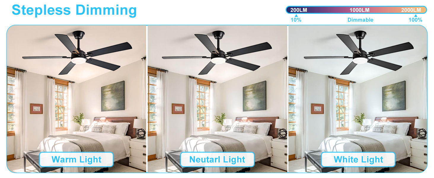 modern ceiling fan with light