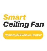 smart ceiling fan