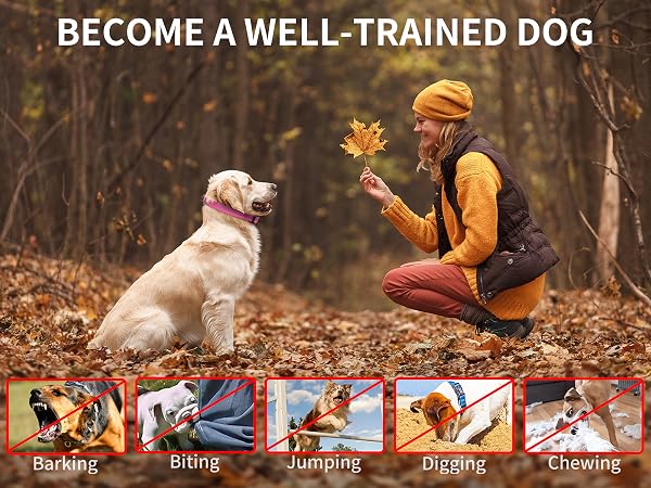 no shock dog collar no shock dog training collar vibrating collar no shock dog collar with remote