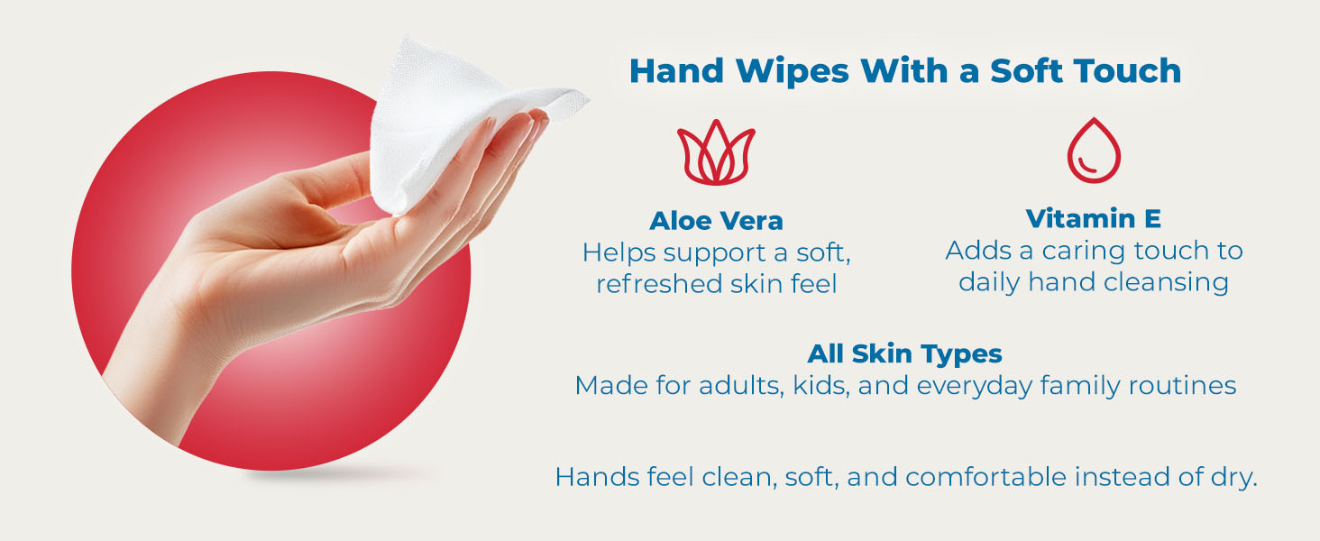 Diamond Wipes WipeEssentials Sanitizing Wipes