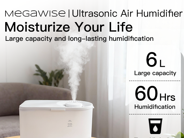 Humidifier