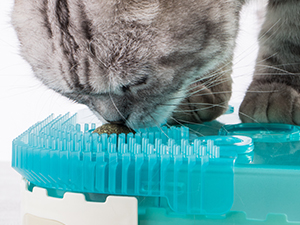 cat toys,cat toys for indoor cats best sellers,automatic cat toyinteractive cat toys for indoor cats