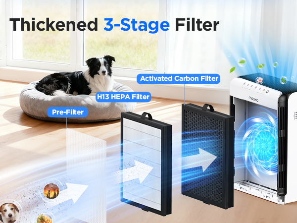 Air purifier with 3 stage H13 HEPA filter, removes pet dander smoke and odors for cleaner home air