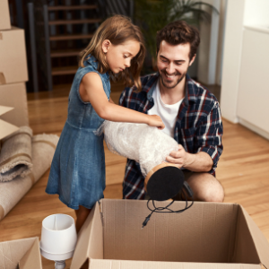 bubble wrap small medium large cushioning fragile breakable padding moving wrapping packing