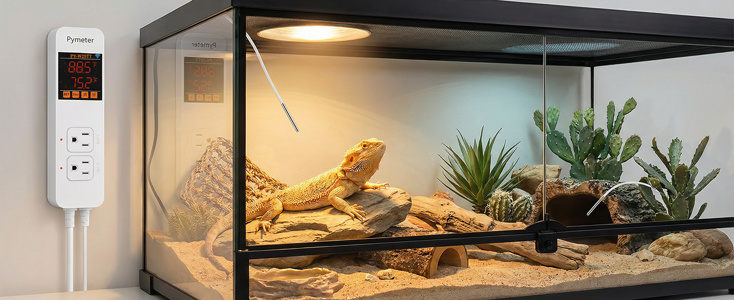 reptile thermostat