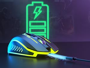 mouse
