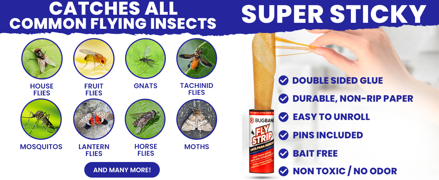 Catches all insects