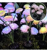 Solar Flowers Lights - Solar Garden Lights Outdoor Waterproof Carnations, 40 Hours Color Changing...