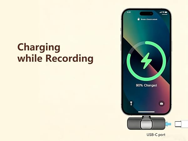 mic for phone