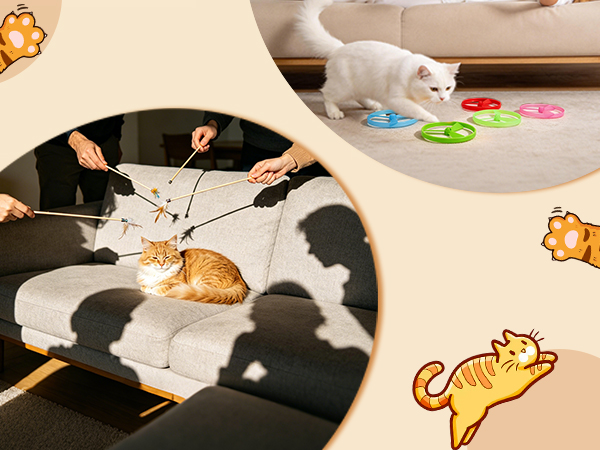 Saving Bored Indoor Cat