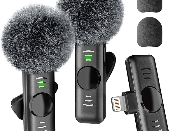 small microphone