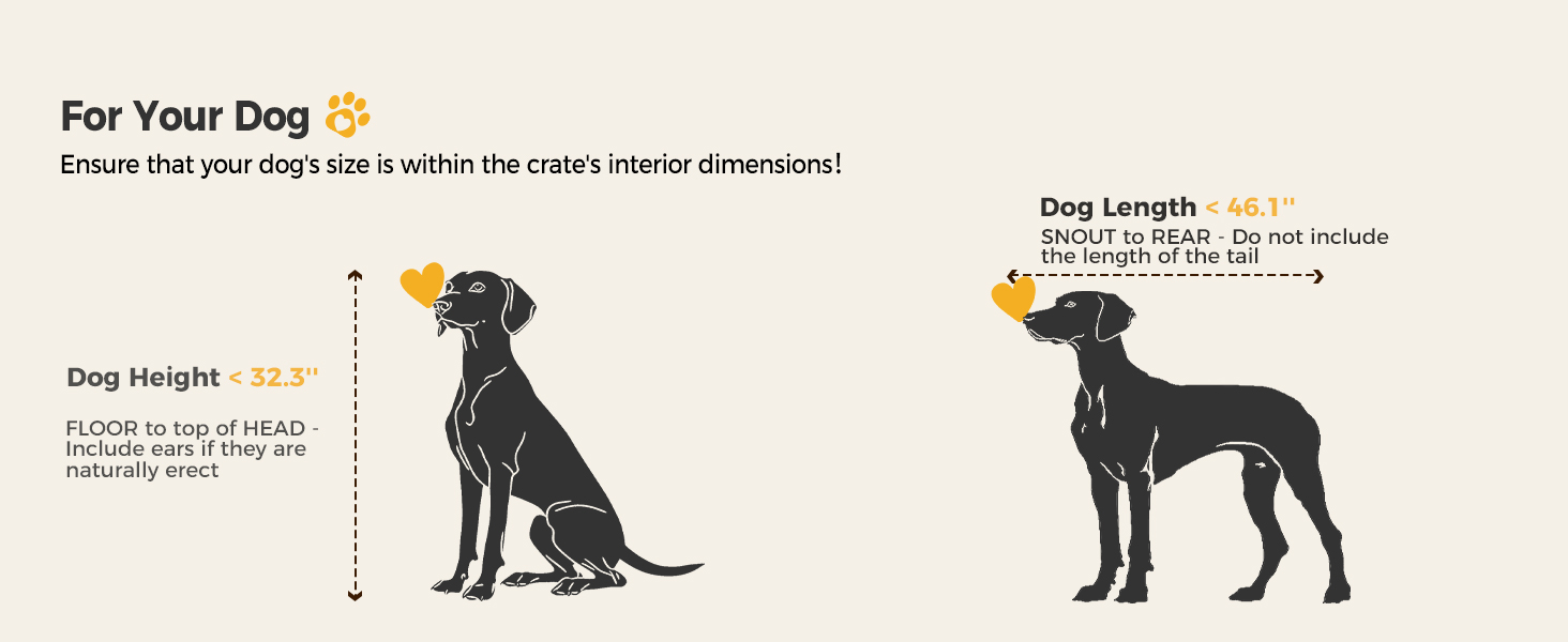 Measure dog size