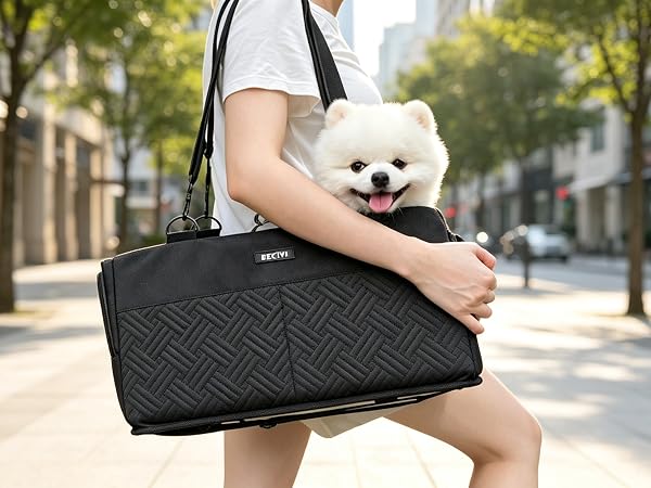 dog carseat