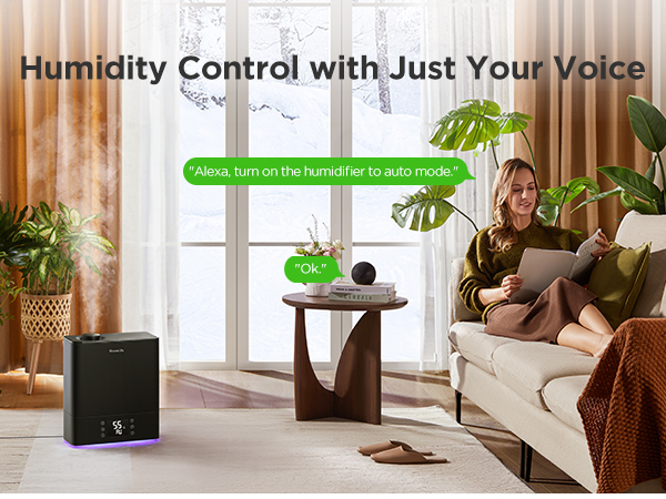 voice control