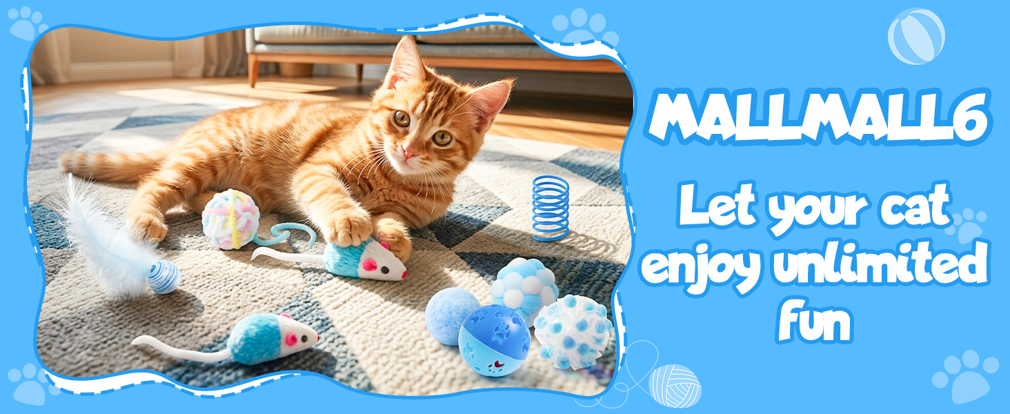 let your cat enjoy fun