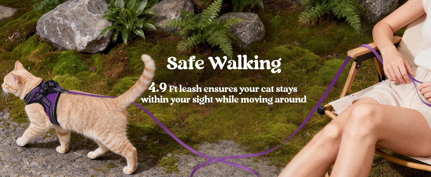 leash