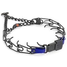 Dog collar with an assembly chain