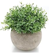 Velener Mini Sage Green Potted Boxwood Topiary Artificial Plants for Home Decor Indoor, Farmhouse...
