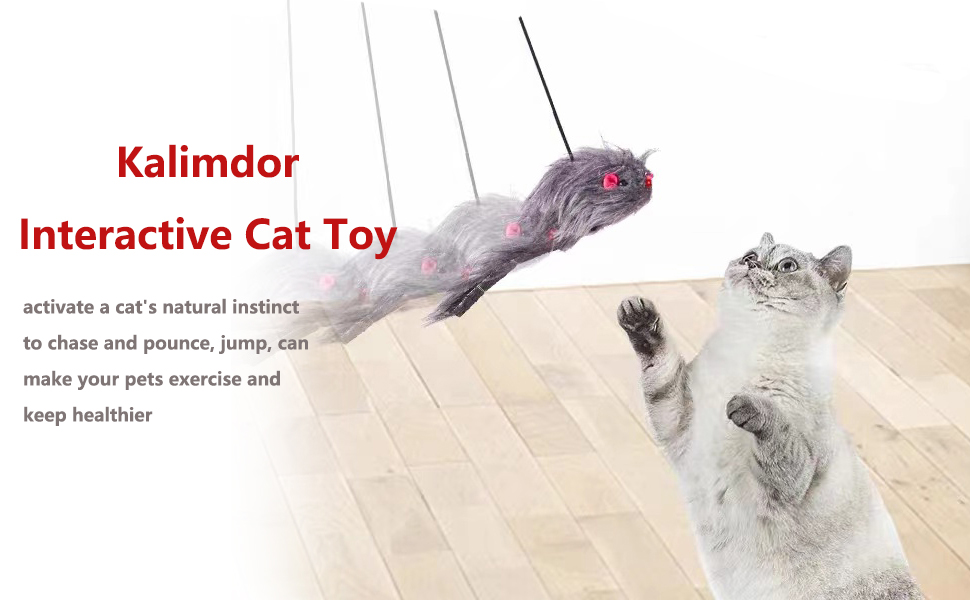 cat toy